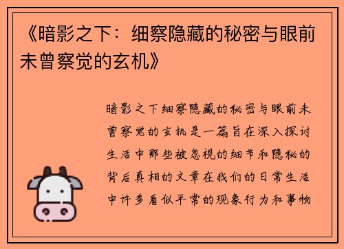 《暗影之下：细察隐藏的秘密与眼前未曾察觉的玄机》
