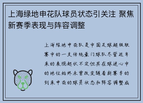 上海绿地申花队球员状态引关注 聚焦新赛季表现与阵容调整