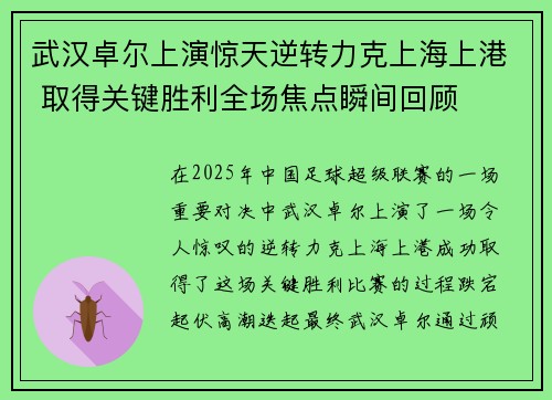 武汉卓尔上演惊天逆转力克上海上港 取得关键胜利全场焦点瞬间回顾